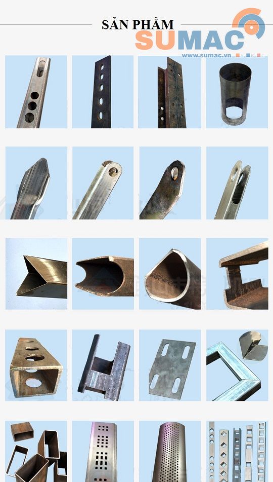 Các loại sản phẩm điển hình