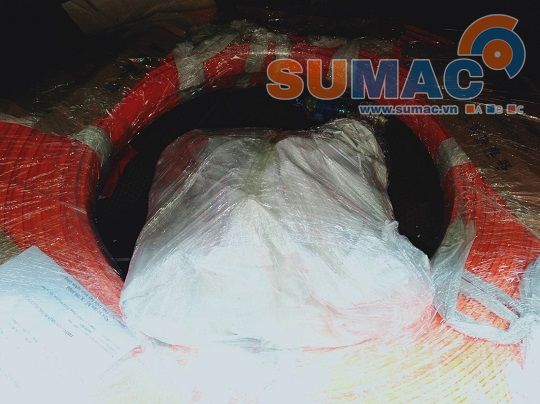 phụ kiện cẩu trục