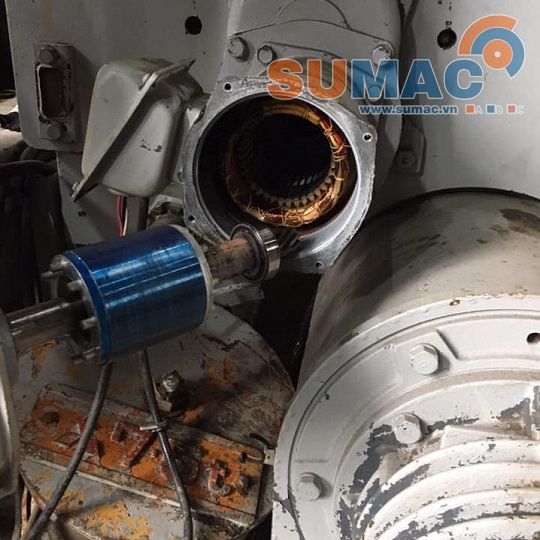 Đổi điện cẩu Nhật - kho cẩu trục bãi