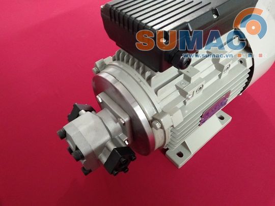 bơm thủy lực liền động cơ