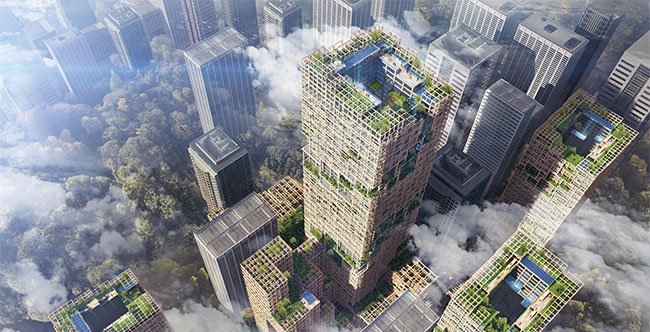 nhà chọc trời bằng gỗ