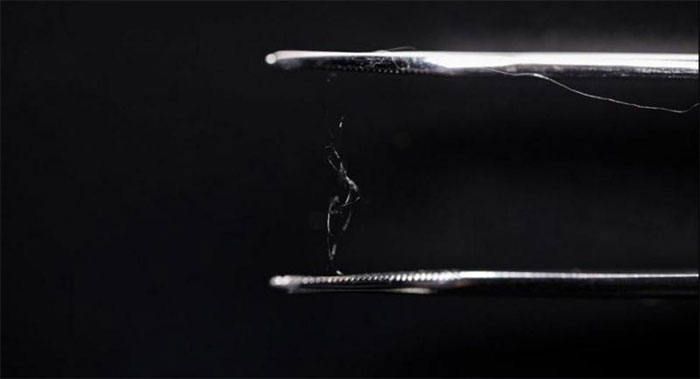 Chế tạo thành công vật liệu nhựa sinh học có khả năng phân hủy