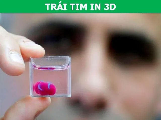 trai tim in 3D