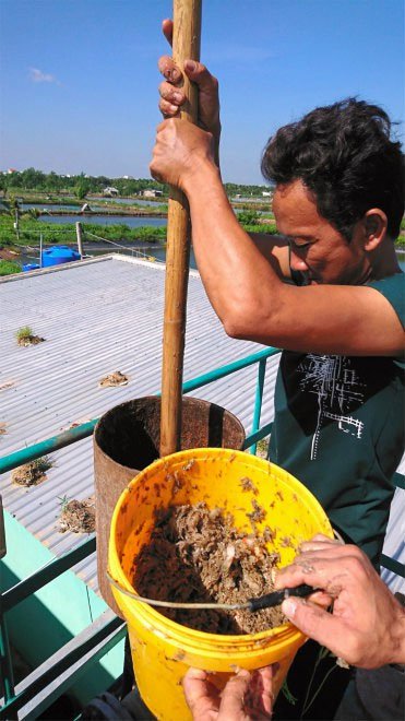 Các nhà nghiên cứu đang trộn bùn ao và rác thải