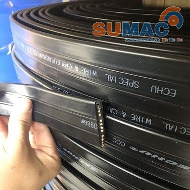 cáp dẹt cầu trục