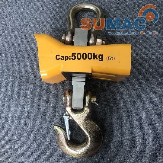 CÂN TREO ĐIÊN TỬ 5 TẤN XUẤT KHO ĐI BẮC GIANG