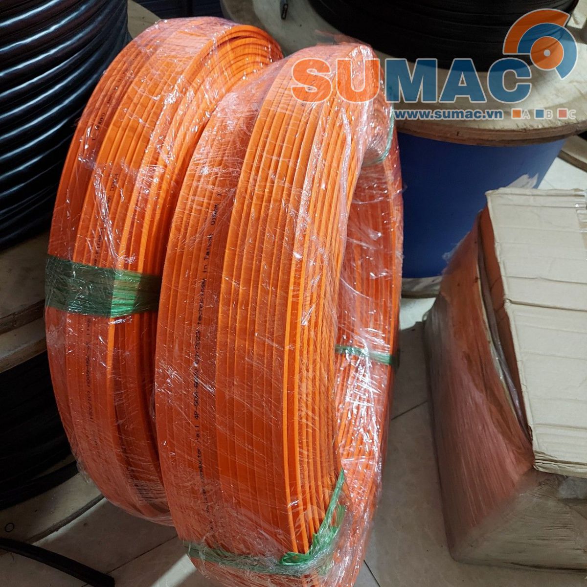 Ray điện  cầu trục