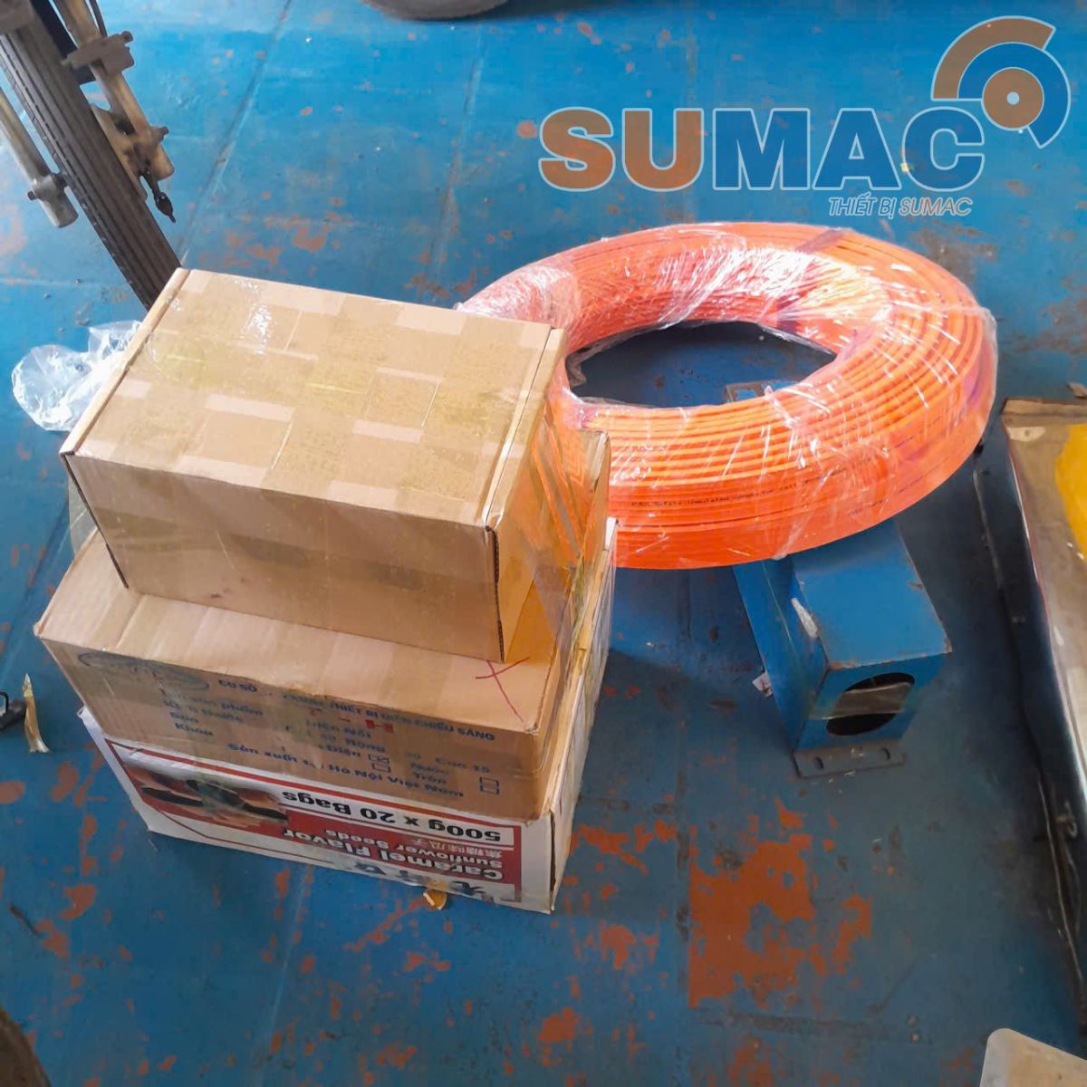 ray dan dien cau truc 6P-50A