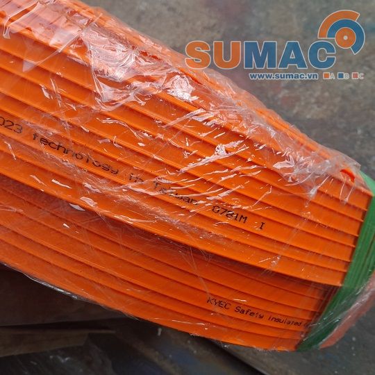 ray điện cáp cầu trục