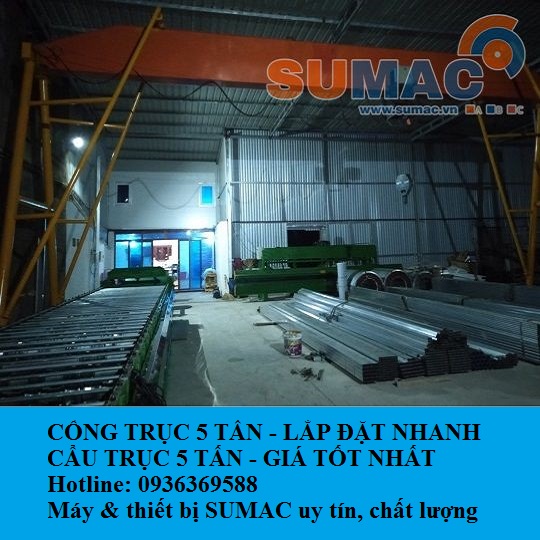 cong-truc-5-tan-12m-crane-systems