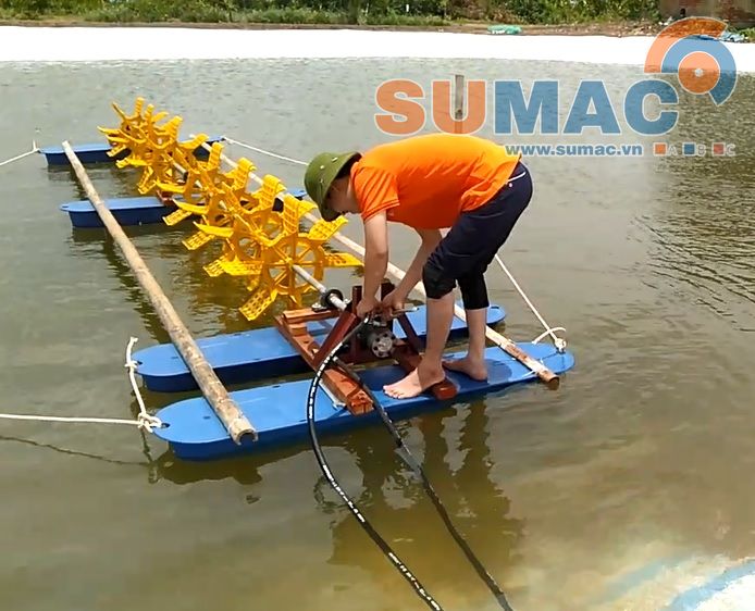 Lắp đặt hệ thống thủy lực cho ao nuôi thủy sản