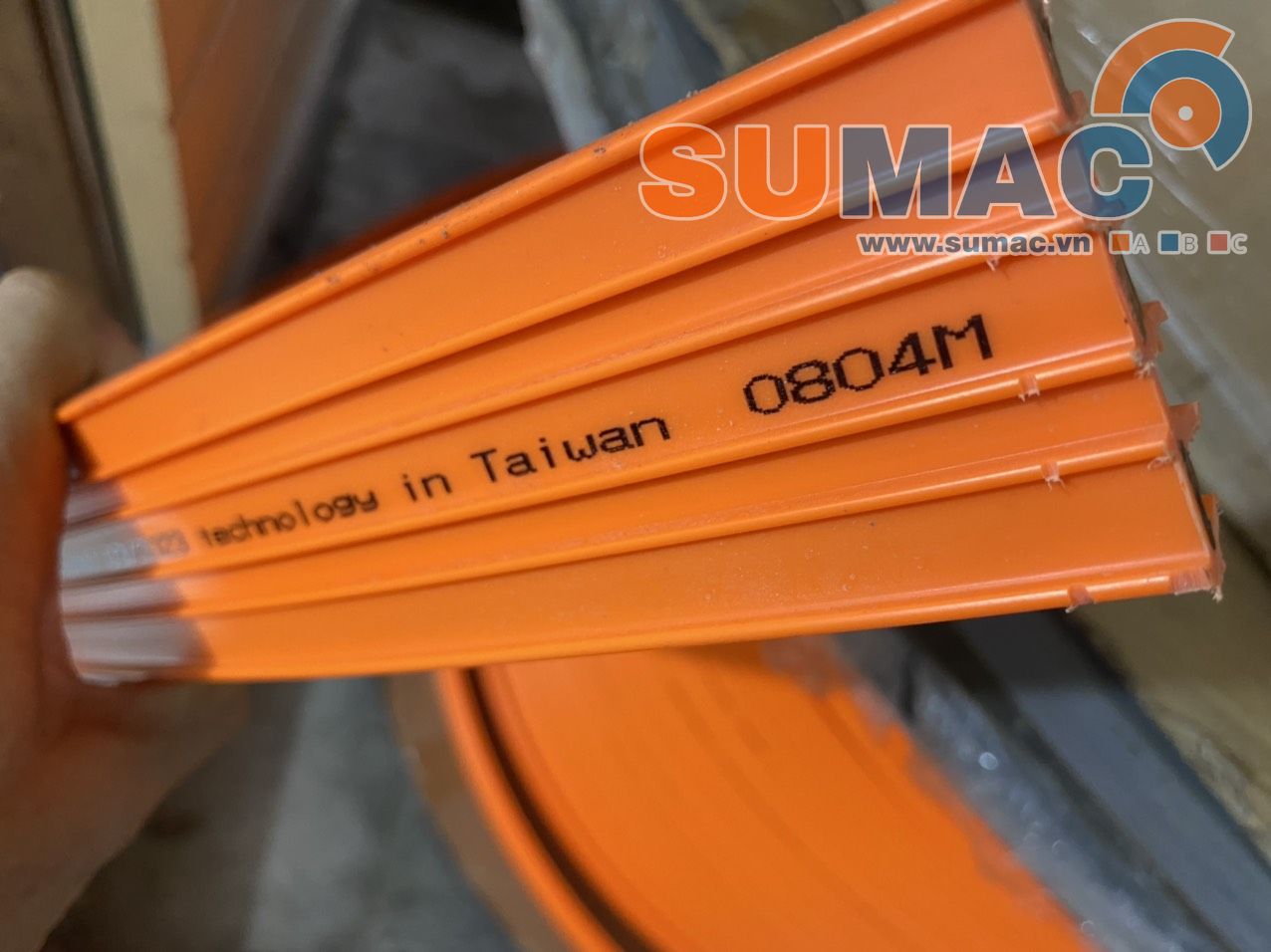 Ray điện cẩu - cầu trục