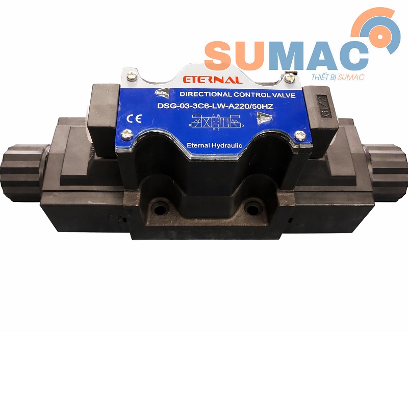 van-dien-tu-dsg-01-3c6-av220vdc24v