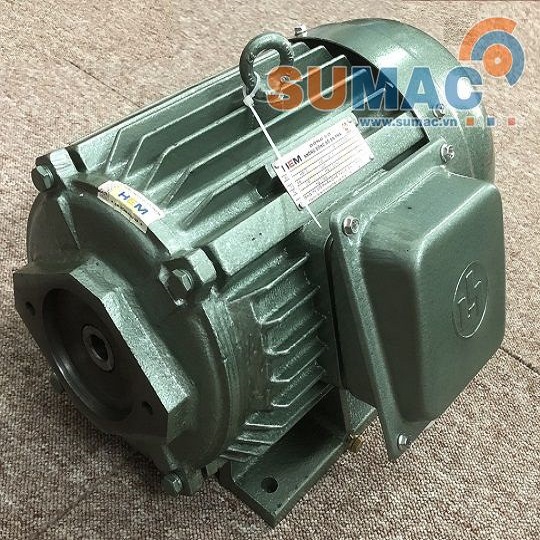 dong-co-dien-cot-am-vihem-4kw