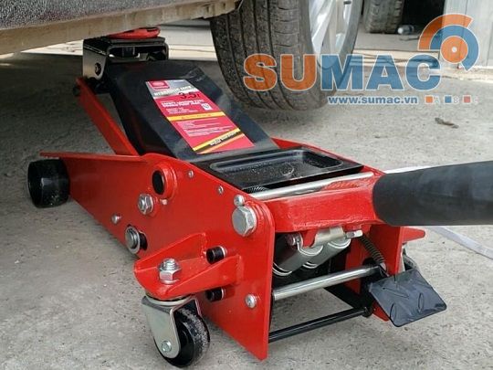 Con đội cá sấu