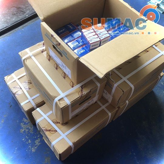 vòng bi SKF 6302