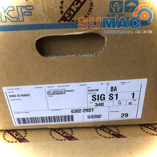 vòng bi SKF 6302