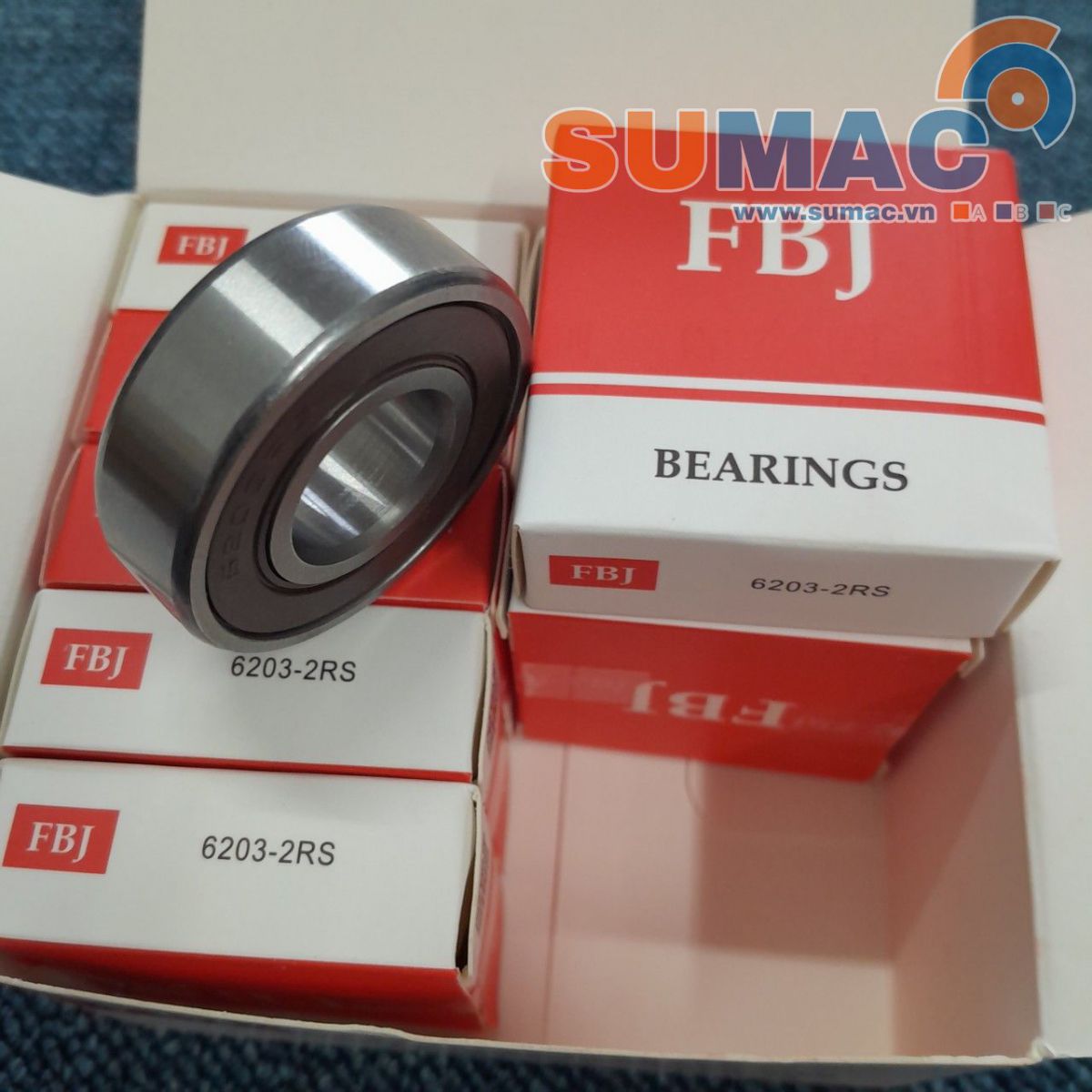 vong-bi-fbj-6009-2rs