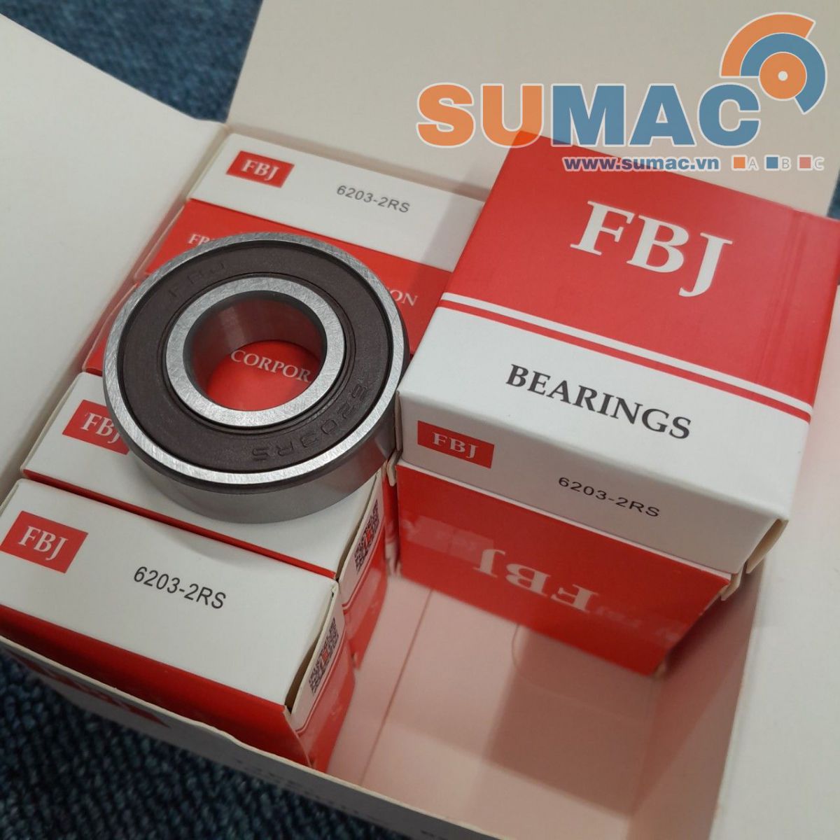 vòng bi FBJ 6009
