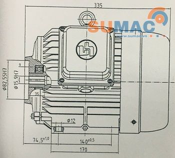 động cơ điện cốt âm 4KW vihem