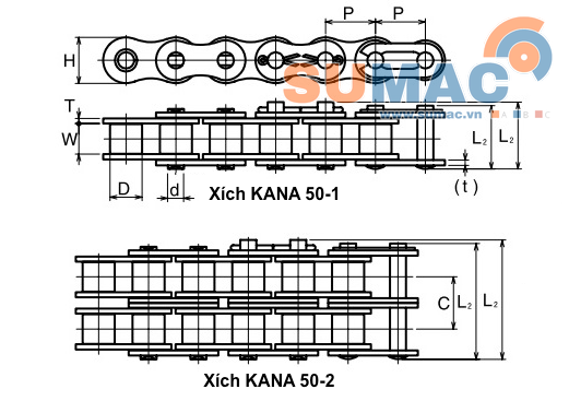 thông số xích 50B